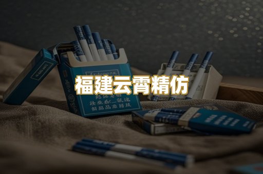 福建云霄精仿